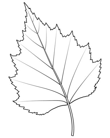 Silver Birch Leaf Coloring page Fall Leaves Pictures, Fall Leaves Tattoo, Fall Leaf Template, Printable Leaves, Leaf Coloring Page, Autumn Leaves Craft, Coloring Page Free Printable, Leaves Falling, Leaf Outline