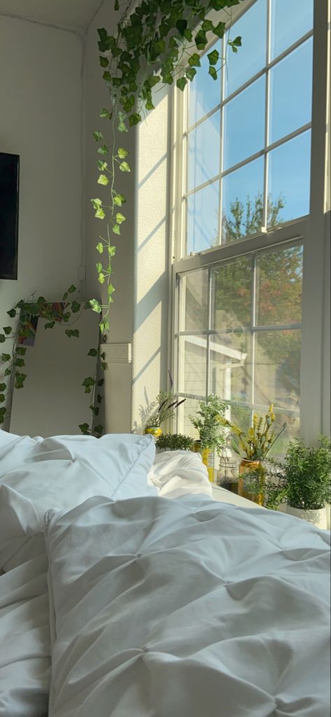 Aesthetic Room Window, Mood Bedroom, Bedroom Spring, Townhome Decorating, Windows Bedroom, Spring Bedroom, Room Ideas Aesthetic, Aesthetic Spring, Room Window