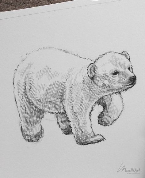 Polar Bear Drawing Realistic, Ice Bear Drawing, Polar Bear Sketch, Wildlife Drawings, Polar Bear Drawing, Bear Sketch, Animal Drawings Sketches, Bear Drawing, Sketchbook Drawings