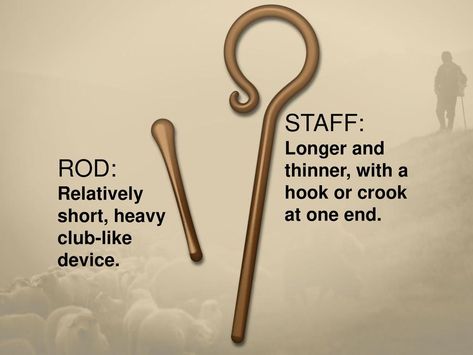 How are the Shepherd’s Rod and Staff Different? » Reasons for Hope* Jesus Rod And Staff, Spiritual Reflection, Bible Worksheets, Bible Study Help, Gospel Message, Bible Study Notebook, The Good Shepherd, The Virgin Mary, Psalm 23