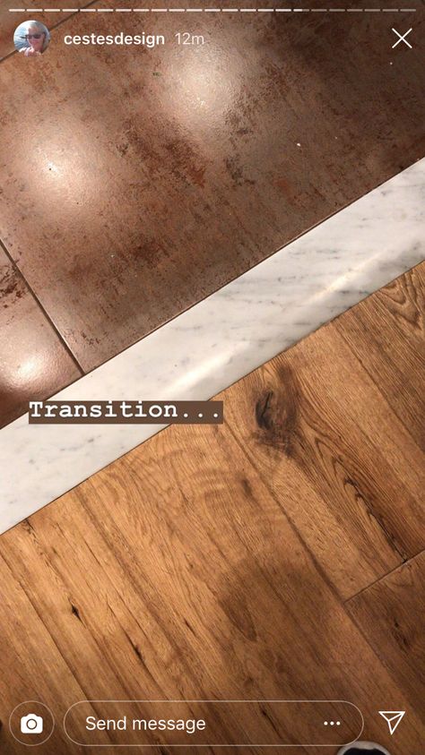 Hardwood Transition, Removing Wall, Floor Transition, Transition Flooring, Transition Strips, Door Thresholds, Bachelorette Pad, Light Wood Floors, Floor Ideas