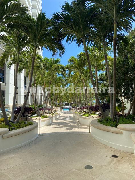 Loews Miami Beach Hotel, Miami Beach Hotels, Beach Hotel, Beach Hotels, Miami Beach, Miami, Hotel