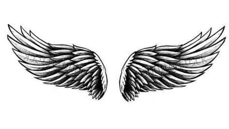 Chest Wings Tattoo Men, Angel Wings On Neck, Angel Wings Tattoo Man, Angel Wing Drawing Tattoo, Angel Wings Tattoo Shoulder, Angel Wings Tattoo Stencil, Wing Neck Tattoo, Angel Wings Tattoo On Back, Crown Tattoo Men