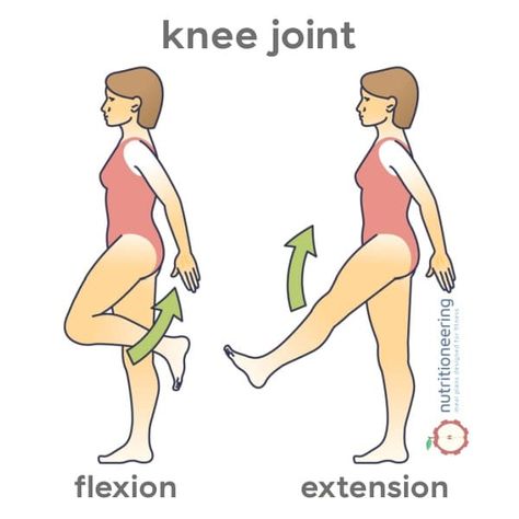 Knee Flexion and Extension Knee Joints Drawing, Cartoon Knee Replacement, Flexion And Extension, Knee Hyperextension Exercises, Pcl Injury Knee Exercises, Tricep Pushdown, Latissimus Dorsi, Tricep Extension, Compound Exercises