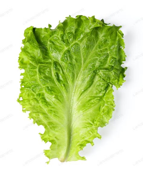 Leaf Photo, Imessage Sticker, Green Lettuce, Food Texture, Beautiful Fruits, Lettuce Leaves, Instant Noodles, Weird Food, Food Drawing