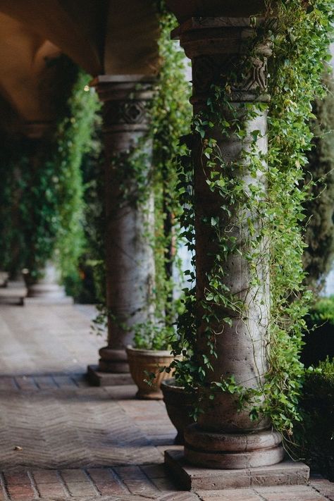 Creative Garden Ideas, Wizard Tower, Creeping Vines, Collection Board, Wedding Reception Party, Stone Pillars, Areas Verdes, Ivy Plants, Large Stone