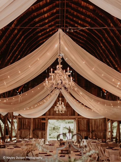 Rustic Tent Decor, Wedding Venue Drapes, Pavillion Wedding Draping, Drapery For Wedding Reception, Wedding Venue Draping, Drapes Wedding Decor, Barn Reception Decorations, Venue Draping, Wedding Canopy Decorations