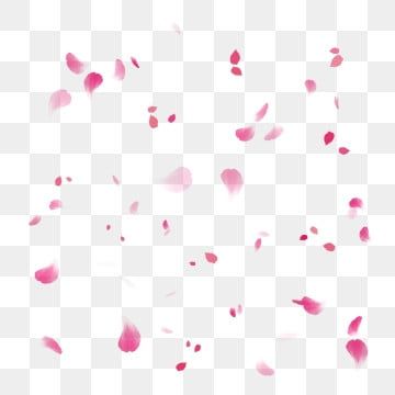 Can Clipart, White Flower Background, Rose Petals Falling, Flower Rain, Falling Petals, Floating Material, Falling Flowers, Pink Flowers Background, Floating Flower