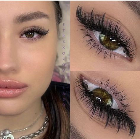 Winged Lash Extensions, Lash Extensions With Purple, Eyelash Extensions Styles Cat Eye, Hybrid Lash Extensions Styles Cat Eye, Pretty Lash Extensions, Hybrid Cat Eye Lash Extensions, Cateye Eyelashes Extensions, Hybrid Lash Extensions Styles, Fox Eye Lash Extensions