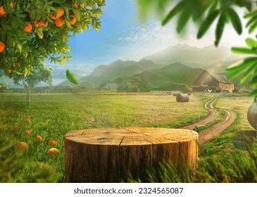 Tree Table wood Podium in farm display for food, perfume, and other products on nature background, Table in farm with orange tree and grass, Sunlight at morning Morning Background, Farm Background, Farm Display, Orange Farm, Grass Background, Juice Packaging, Photoshop Tutorial Photo Editing, Frutiger Aero, Digital Banner