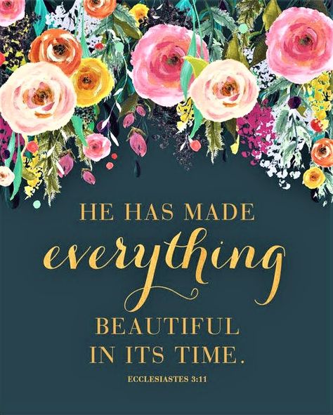 Ecclesiastes 3 11, Ecclesiastes 3, Grace Christian, Inspirational Bible Verses, Scripture Art, Scripture Quotes, Verse Quotes, Bible Inspiration, Christian Art