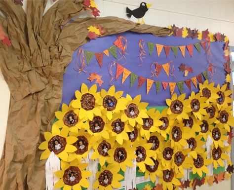 We're BLOOMING in Kinder"GARDEN"!! Fun bulletin board idea. Fall themed with sunflowers! Taylor Swift On Tour, Sunflower Bulletin Board, Sunflower Classroom, Garden Theme Classroom, Kids Bulletin Boards, Fall Bulletin Board, Classroom Boards, Bulletin Boards Classroom Decor, Classroom Decor High School