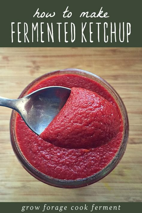 Ketchup is the classic condiment, but in modern times it has strayed wildly from what it once was. Here's how to make fermented ketchup. This recipe is easy to make, and so much tastier and healthier than store bought. It's sugar free, additive free, and full of gut healthy probiotics. Make your own traditional fermented ketchup today! #ketchup #ferment #fermented #fermentedketchup #realfood #traditionalfoods Fermented Ketchup, Container Tomatoes, Fermentation Station, Tomato Growing Tips, Fermented Veggies, Fermented Pickles, Homemade Ketchup, Tomato Growing, Healthy Probiotics