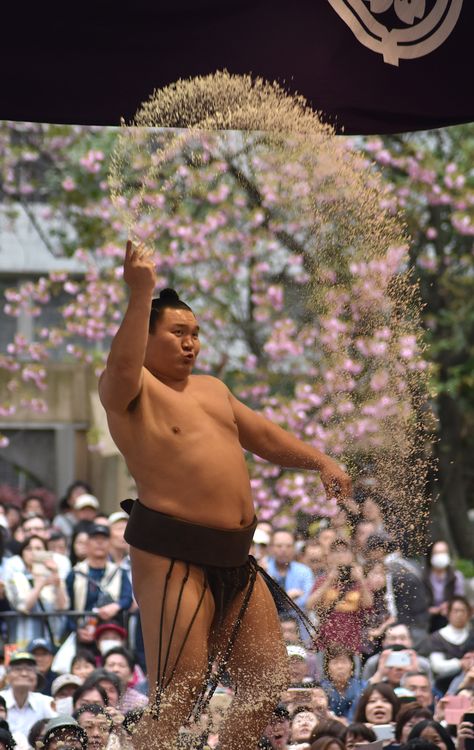 Hakuho : モンゴル人力士の典型的八百長相撲力士：貴乃花のガチンコ相撲に対して典型的台本型力士。出て行け！日本から！相撲道を見直すべき時期に来ている。今の八角理事長も八百長の九重部屋出身。白鵬がかわいくてどうにもならん。国技？ヤクザの世界である。 Japanese Wrestling, Sumo Wrestler, Japan Culture, Maneki Neko, Grappling, Japan Fashion, Photo Reference, Judo, Japanese Culture