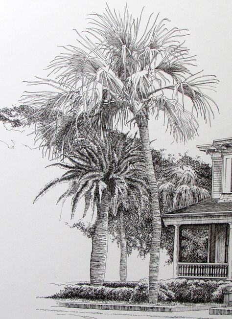 Palm Tree Ink Drawing, Palm Tree Drawing, Forest Illustrations, Drypoint Etching, Forest Illustration, Drawing Stuff, Tree Drawing, Ink Illustrations, Beach House Decor