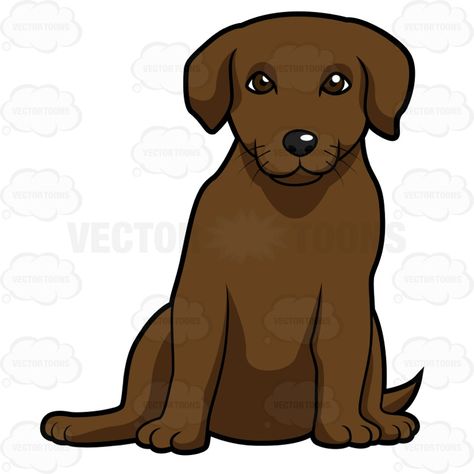 Brown Lab Puppy, Chocolate Labrador Puppy, Brown Lab, Labrador Puppy Chocolate, Dogs Hugging, Beagle Puppies, Dog Table, Puppy Sitting, Lab Puppy