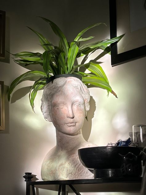 Earthy Futuristic, Statue Planters, Statue Plant Pot, Pinterest Plant, Statue Head, Head Bust, Bust Sculpture, Head Planters, Plant Therapy