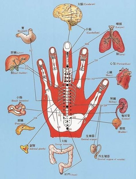 Punkty Spustowe, Reflexology Foot Chart, Foot Reflexology Massage, Acupressure Therapy, Hand Reflexology, Massage Therapy Techniques, Reflexology Chart, Reflexology Massage, Body Therapy