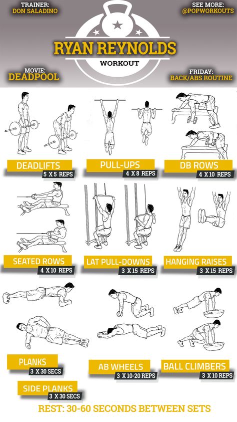 Ryan Reynolds Back & Abs Deadpool Workout Chart The Rock Workout, Workouts For Men, Fitness Studio Training, Gym Workouts For Men, Wednesday Workout, Cardio Training, Gym Routine, Workout Chart, Chest Workouts