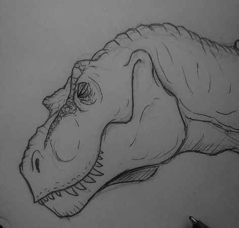 Drawing Ideas Dinosaurs, Dinosaur Sketch Easy, T Rex Drawing Easy, T Rex Sketch, Dinosaur Drawing Sketch, How To Draw A T-rex, Dinosaur Line Art, Drawing Of A Dinosaur, Dino Sketch