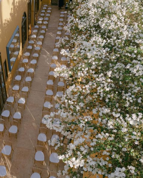 Never going to get over how absolutely stunning this aisle and ceremony backdrop looked ✨ We measured the space precisely and mapped out the chairs to ensure guests could be seated, because it was an unusual space to choose and never been done before. The height of the walls, the open archways (reminiscent of chapel windows), the cascading bougainvillea, the palm trees stretching into the sky line above, the old antique doors, the pale stone floors, mirrors reflecting back either side - we... Mirror Ceremony Backdrop, Chapel Windows, Sky Line, Stone Floors, Luxury Weddings, Antique Doors, Luxury Event, Ceremony Backdrop, Bougainvillea