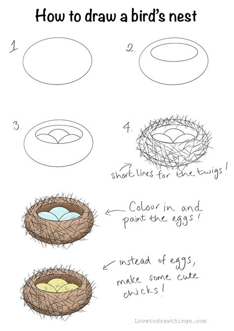 Bird Nest Drawing, Nest Drawing, Draw A Bird, Planet Coloring Pages, Draw Birds, Beginners Drawing, How To Draw Cute, Easy Step By Step Drawing, Drawing Lessons For Kids