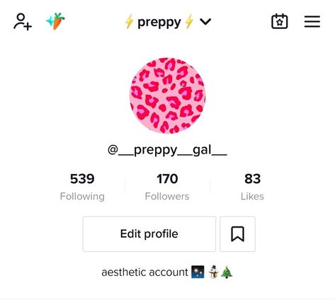 This is my preppy tiktok account please follow Pfp Winter, Tiktok Pfp, Tiktok Account, Edit Profile, Follow Me, Accounting