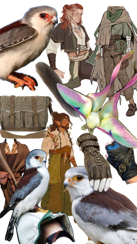 Some inspiration for my dnd character Quiil hes an aarakocra Fey Dnd, Dnd Character Design, Dnd Characters, Creative Inspiration, Design Inspo, Character Design, Quick Saves, Design