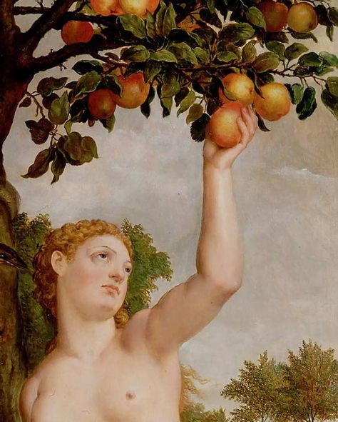 Rethinking Eve’s Apple - Tablet Magazine Allegory Of The Cave, Simple Poems, Color Symbolism, Apple Art, Levels Of Understanding, Symbols And Meanings, Beach Color, Elements Of Nature, Deep Meaning