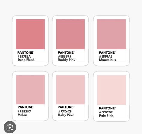 Pantone Pink Shades, Pink Color Chart, Pink Pantone, Aesthetic Pleasing, Pantone Color Chart, Brand Palette, Pantone Palette, Hex Color, Face Charts