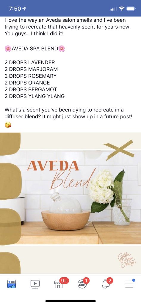 Aveda Spa, Candle Science, Aveda Salon, Candle Fragrance Oil, Homemade Products, Daniel Fast, Food Candles, Essential Oil Candles, Marjoram