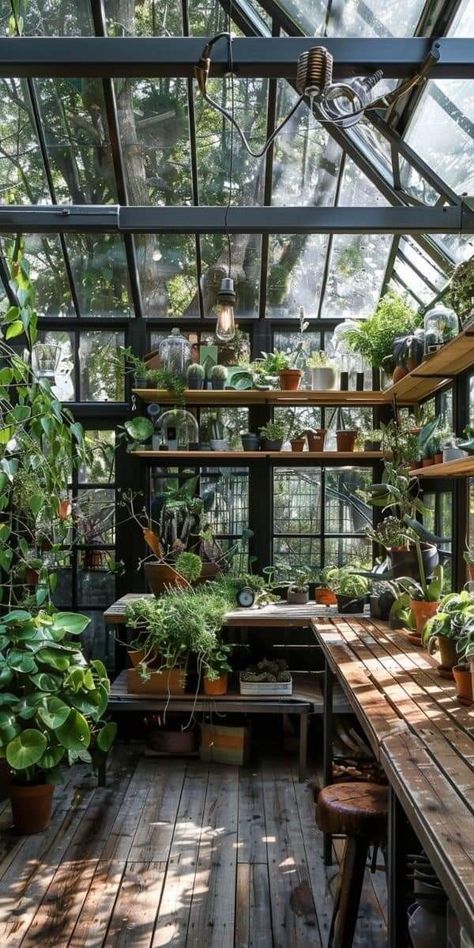 Greenhouse Planting Layout, Green Conservatory, Sunroom Greenhouse, Porch Greenhouse, Planting Layout, Greenhouse Cafe, Conservatory Decor, Botanical Display, Greenhouse Ideas