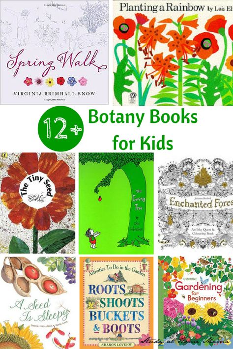 12+ Books about Botany for Kids - great books to introduce botany to kids! Botany Lessons, Planting A Rainbow, Botany Books, Study At Home, Plants Unit, 12 Books, Nature School, Tulip Bulbs, Kids Study