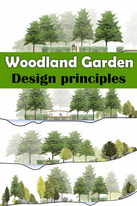 Large Back Garden Design, Organic Landscape Design Layout, Woodland Front Yard Landscaping, Landscape Planning Layout, Woodland Landscape Design, Forest Edge Garden, Wooded Lot Landscaping, Meadow Garden Design, Pnw Backyard Landscaping