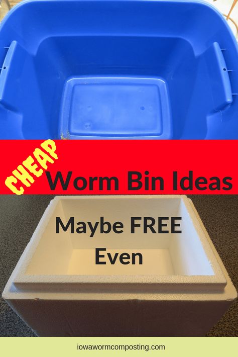 Diy Worm Bin, Raising Worms, Worm Farm Diy, Worm Bins, Worm Beds, Worm Composting Bin, Living Off Grid, Red Wigglers, Worm Bin