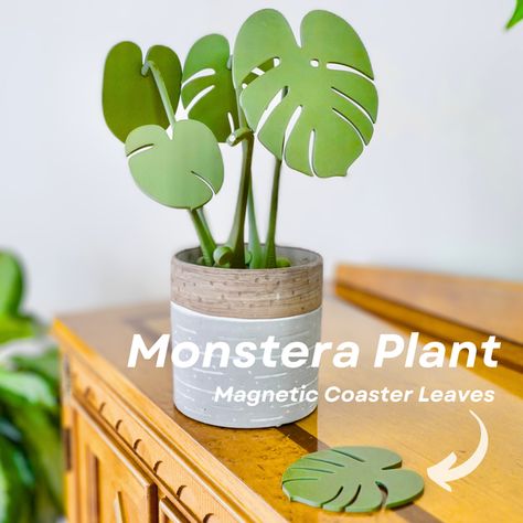 Monstera Coaster Plant | Patreon Monstera Plant, Slate Coasters, Ceramic Coasters, Wood Coasters, Up Girl, Needle Felted, Drink Coasters, Yin Yang, Runes