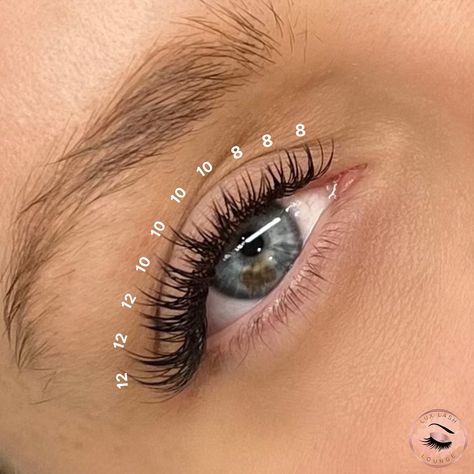 ‼️Lash Technicians‼️ Here’s something for you to try⬇️ Wispy Cat Eye Lash Map👀⭐️ 8-12mm, Classic C-Curl❤️‍🔥 This is a gradual sharp cat eye because it’s going from 8mm to 12mm🔪 We love this set and it’s an easy lash map to follow🥰👀 📍Classic Lash Extensions in Brooklyn, NY 📲718-801-2523 📍Classic Lash Extensions in Long Island, NY 📲516-907-2200 💻www.luxlashlounge.com #lashmap #cateyelashextensions #cateyelashmap #lashmappingskills #lashmappingtips #lashextensions #nyclashtech #brooklynl... Kiss Lash Extensions Map, Cat Eye Eyelash Extensions Map, Cat Eye Cluster Lashes, Lash Maps Wispy, 8-12 Mm Lashes, Cat Eye Classic Lash Extensions Map, 2d Lash Extensions Cat Eye, Classic Lashes Extensions Mapping, Lash Extension Chart