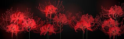 Flower Header, 트위터 헤더, Lily Wallpaper, Red Spider Lily, Cute Twitter Headers, Flipagram Instagram, Cute Headers For Twitter, Twitter Header Pictures, Twitter Header Aesthetic