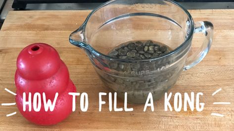 Kong Recipes, Easy Dog Treat Recipes, Easy Dog Treats, Dog Enrichment, Wet Dog Food, Dog Treat Recipes, Frozen Food, Service Dogs, Treat Recipe