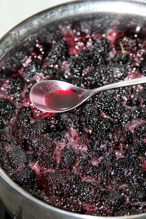 Cooking Mulberry Jam Mulberry Jam, Mulberry Recipes, Apple Jam, Plum Pudding, Pie Dessert, Fabulous Foods, Plum Purple, Red Peppercorn, Asparagus