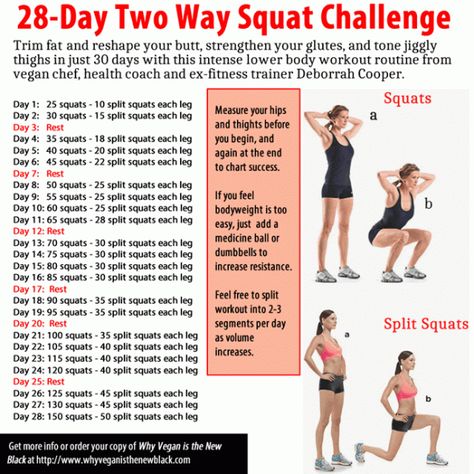 Squat Challenge 28 day squat challenge from BlacksGoingVegan.Com Squad Challenge, Lower Body Workout Routine, One Song Workouts, Lower Body Fat, Cheer Workouts, Workout Songs, Squat Challenge, Body Challenge, Lower Body Workout