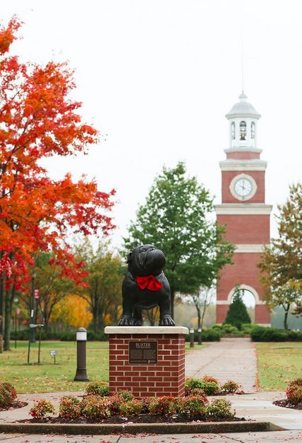 Union University, College Application, School Tops, College Campus, College University, Nov 1, Grad Party, Grad Parties, Colleges And Universities