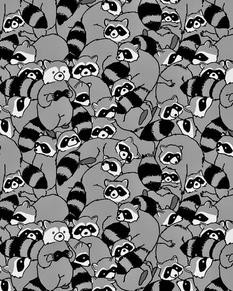 Opossum Phone Wallpaper, Tanuki Wallpaper, Raccoon Aesthetic Wallpaper, Raccoon Background, Racoon Aesthetic, Raccoon Wallpaper, Silly Pfp, Raccoon Pattern, Future Wallpaper