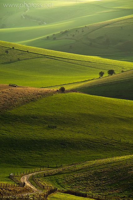 Essex England, England Countryside, Dreamy Places, South Downs, East Anglia, Image Nature, British Countryside, Rolling Hills, East Sussex