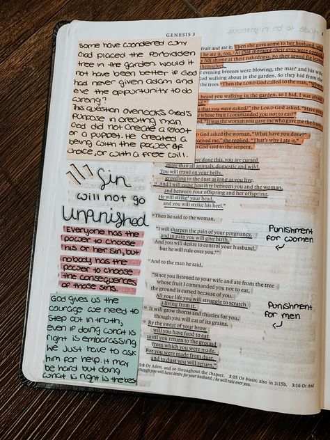 Genesis Annotations, Genesis 10 Bible Journaling, The Jesus Bible Journaling, Genesis 3 Bible Journaling, Genesis Bible Study Notes, Genesis Bible Journaling Notes, Genesis Bible Journaling, Genesis Bible Study, Bible Highlighting