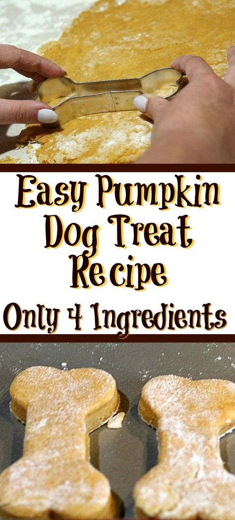 Easy Pumpkin Dog Treat Recipe - Cook Eat Go Frozen Pumpkin Dog Treats, Pumpkin Dog Treat, Dog Cookie Recipes, Homemade Dog Cookies, Pet Treats Recipes, Dog Treat Recipe, Dog Treats Homemade Easy, Easy Dog Treat Recipes, Frozen Pumpkin