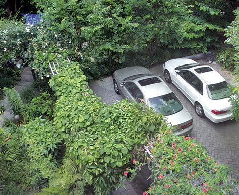 The car park and garden are separated by a trellis fence. Parking With Garden, Cars In Driveway, Car Park With Garden, Outdoor Car Parking, Natural Parking Lot, Backyard Upgrades, Trellis Fence, Space Car, Carport Garage