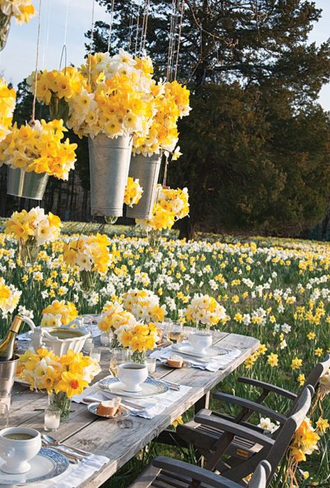 Daffodil Wedding, Arkansas Wedding Venues, P Allen Smith, Stone Sculptures, Romantic Wedding Venue, Stunning Wedding Venues, Yellow Style, Garden Wedding Venue, Vegetable Gardens