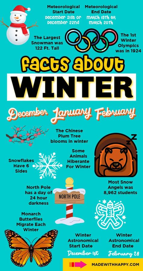 Facts About Winter Snow Facts, Christmas Traditions Around The World, December Solstice, Holiday Facts, Winter Printables, Gorgeous Images, February Holidays, Fun Facts For Kids, Traditions Around The World