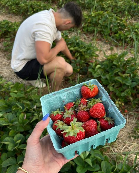 Garden Date, Farm Date, Birthday Morning, Soft Launch, Strawberry Farm, Berry Picking, Strawberry Picking, Fruit Picking, Cute Couples Cuddling